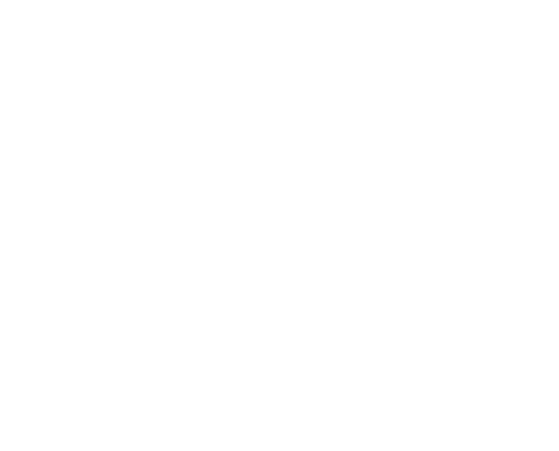 Web Applications Security Testing