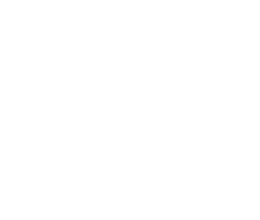 Web Applications Security Testing